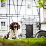 Hof Koehne - Haus Am Berg 3er 別荘 シュマレンベルク
