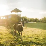 Hof Koehne - Haus Am Berg 3er * シュマレンベルク
