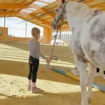 Hof Koehne - Haus Am Berg 3er *