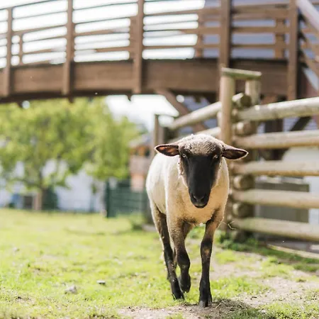Hof Koehne - Haus Am Berg 3er * Шмалленберг