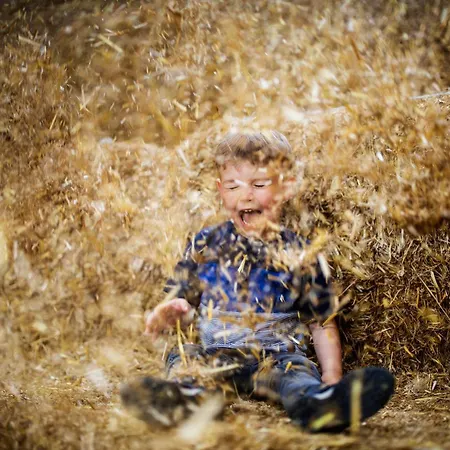 Hof Koehne - Haus Am Berg 3er Дом отдыха