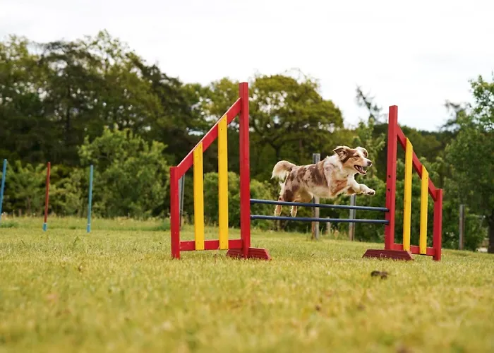Holiday home Hof Koehne - Haus Am Berg 3er