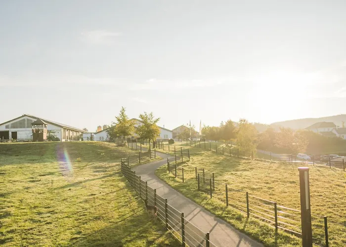 Holiday home Hof Koehne - Haus Am Berg 3er *