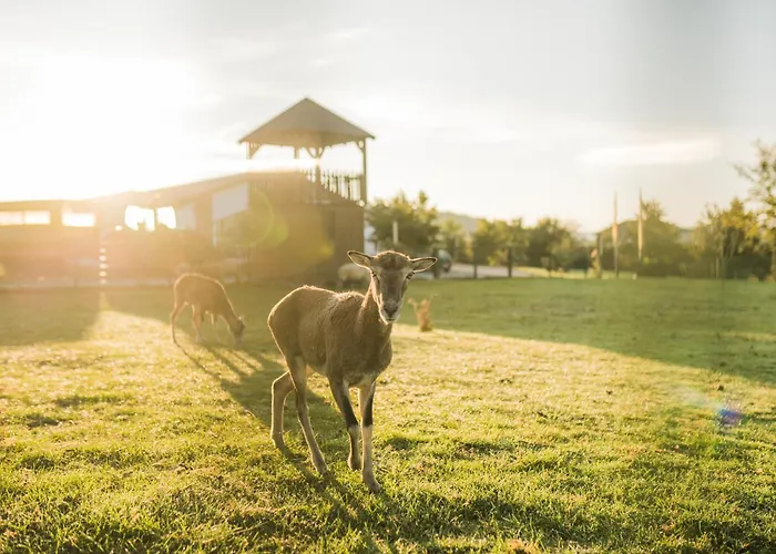 Hof Koehne - Haus Am Berg 3er * Schmallenberg